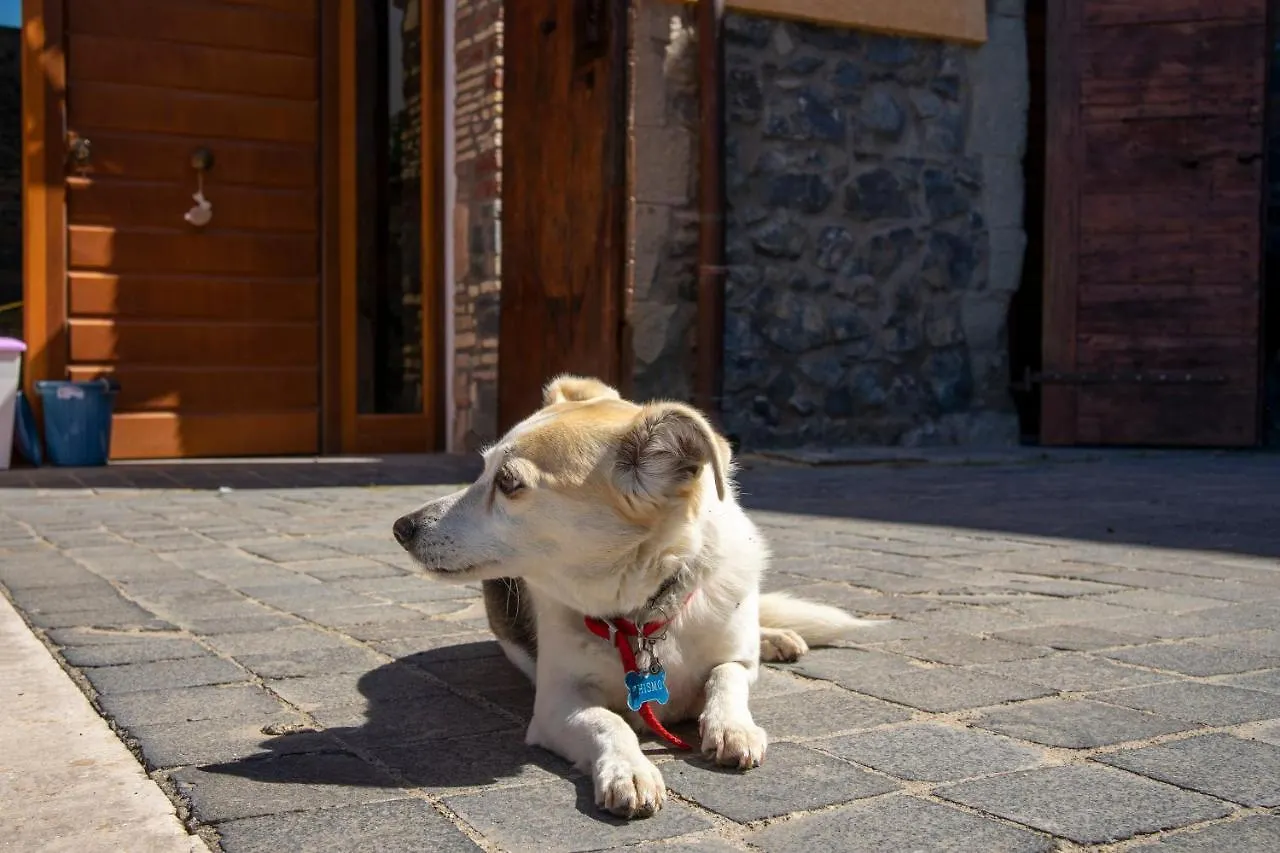 Bed & Breakfast Al Borgo - Tenuta Borsari Frascati Italy